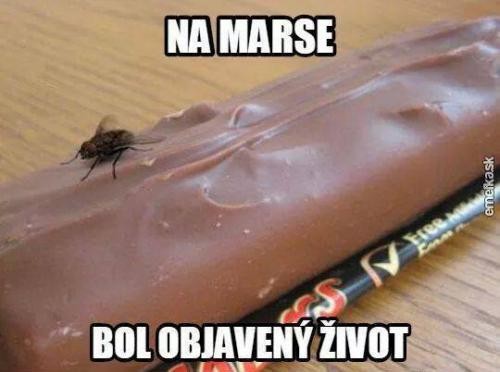 Objav